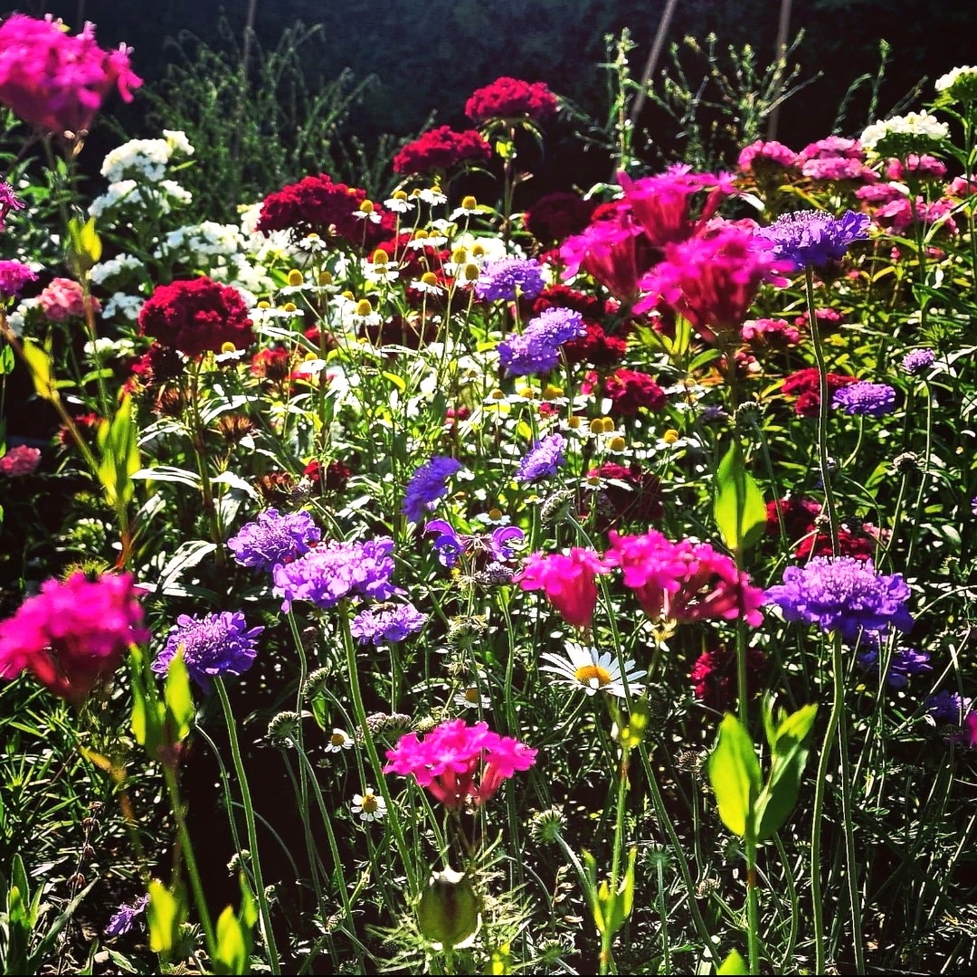 Projektbild 1
