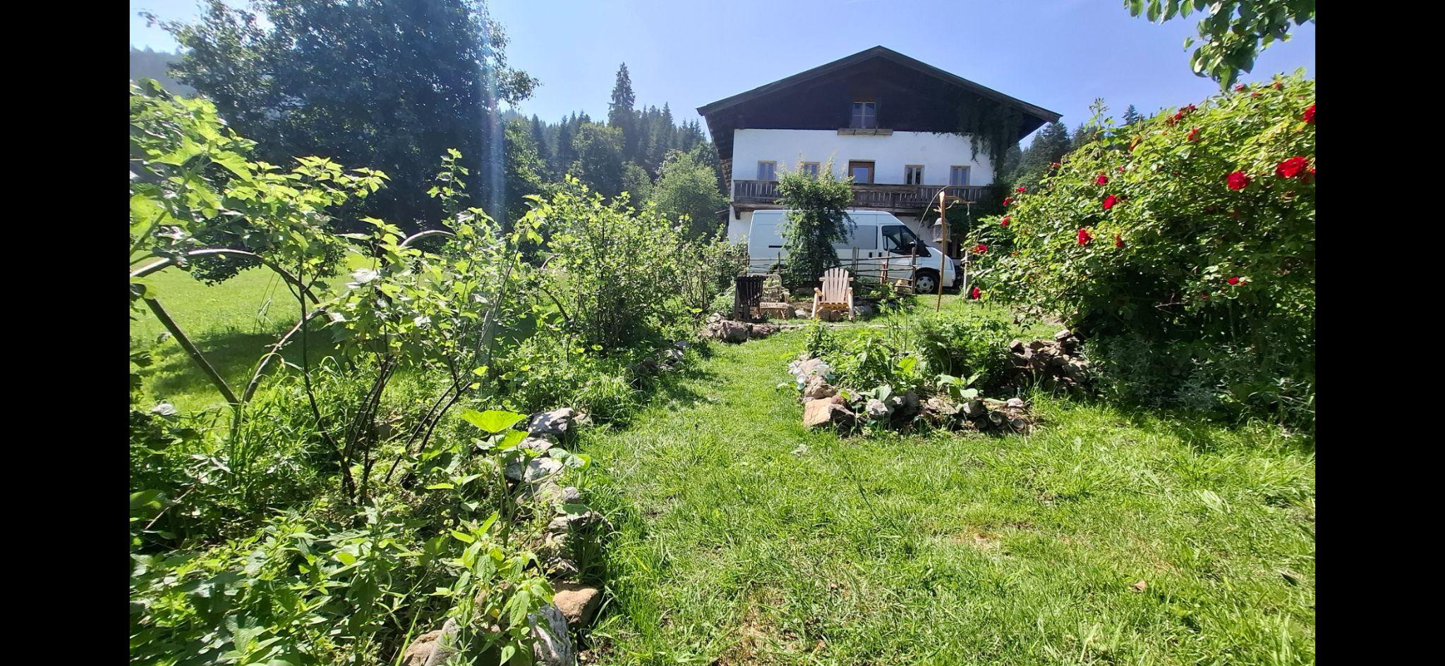 Ein Bauerngarten blüht auf - Bild 3